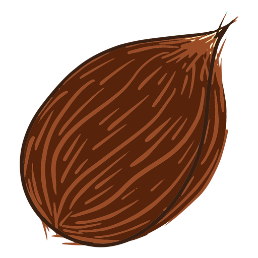 Doodle coconut PNG Design