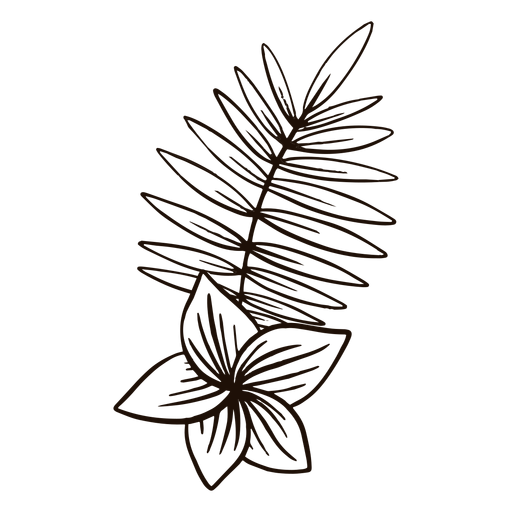 Blume und Blatt Hand gezeichnet PNG-Design