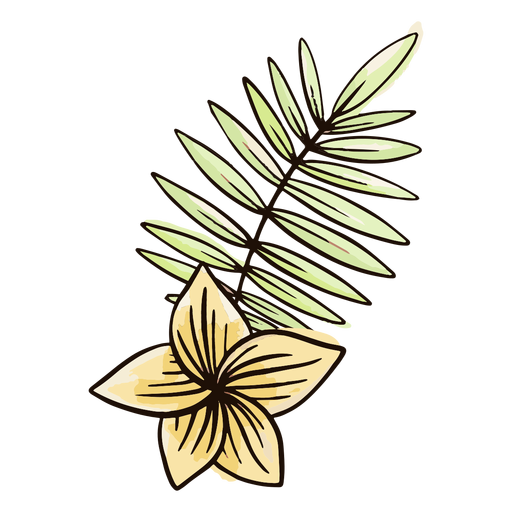 Blumen- und Blattaquarell PNG-Design