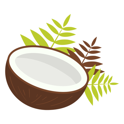 Half coconut design PNG Design