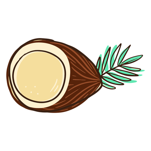 Meio coco Sarrabisco Desenho PNG