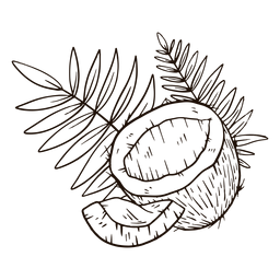 Meio coco com folhas desenhadas à mão Desenho PNG