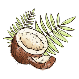 Meio coco com folhas em aquarela Desenho PNG