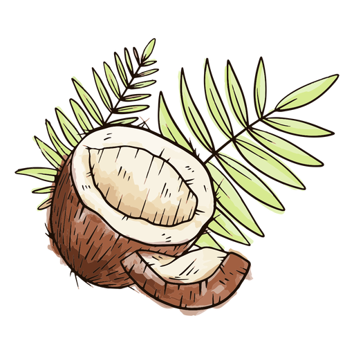 Halbe Kokosnuss mit Blättern Aquarell PNG-Design