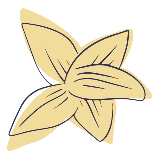Doodle de flor havaiana Desenho PNG