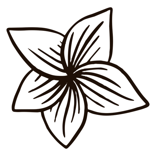 Hawaiianische Blumenhand gezeichnet