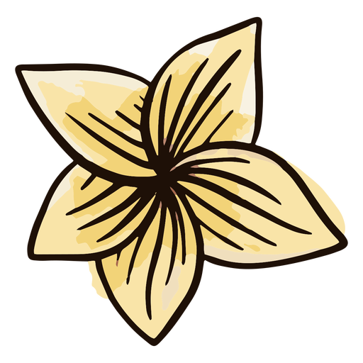 Hawaiianisches Blumenaquarell PNG-Design