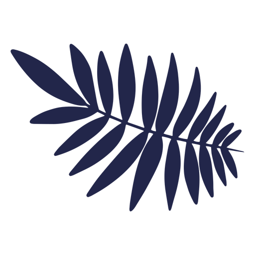 Large coconut leaf PNG Design