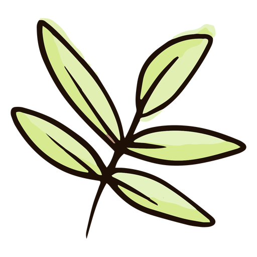 Leaf watercolor PNG Design