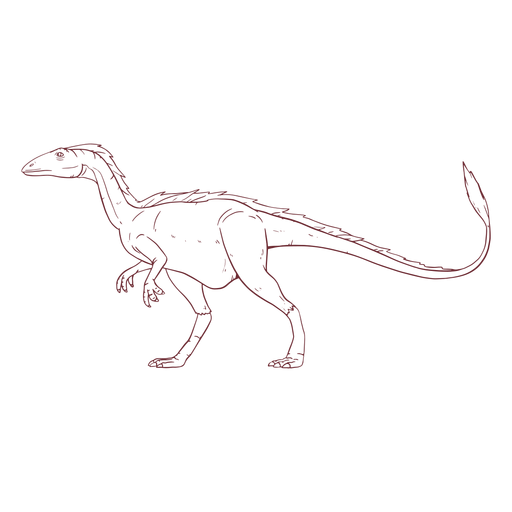 Dinosaurio Allosaurus dibujado Diseño PNG