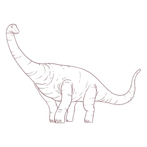 Brachisaurus dinosaur drawn - Transparent PNG & SVG vector file