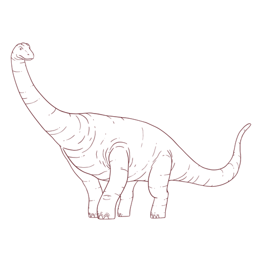 Dinosaurio Brachisaurus dibujado Diseño PNG