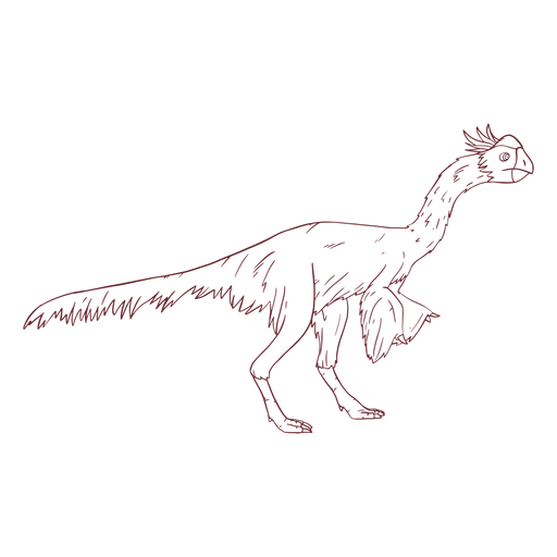Dibujado a mano p?jaro dinosaurio Diseño PNG