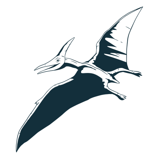 Design PNG E SVG De Dinossauro Pterodáctilo Desenhado Para Camisetas