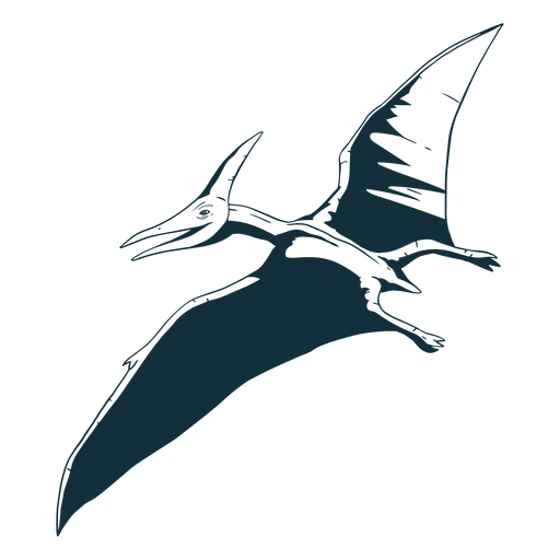 Drawn Pterodactyl Dinosaur Transparent Png And Svg Vector File