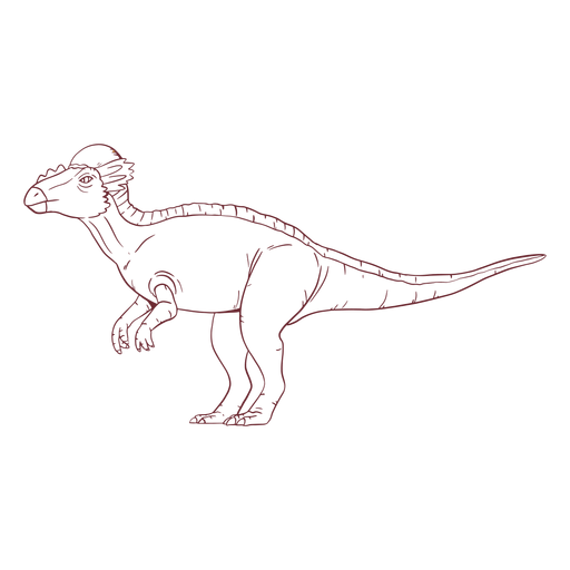 Pachycephalosaurus dinosaur drawn