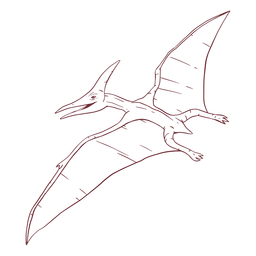Diseño PNG Y SVG De Dinosaurio Pterodáctilo Dibujado Para Camisetas Diseño PNG Y SVG De Dinosaurio Pterodáctilo Dibujado Para Camisetas