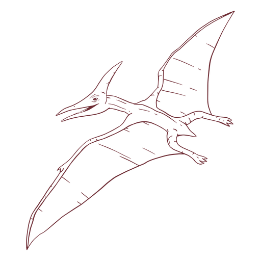Pterodactyl dinosaur drawn PNG Design