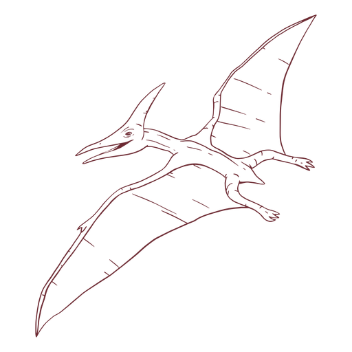 Premium PSD  Flying pterodactyl isolated on transparent background