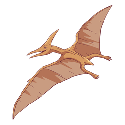 Pterodactyl dinosaur illustration Transparent PNG