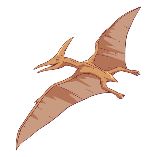 Ilustração de dinossauro pterodáctilo Desenho PNG