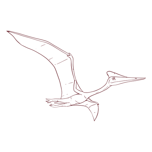 Dinosaurio Quetzalcoatlus dibujado Diseño PNG