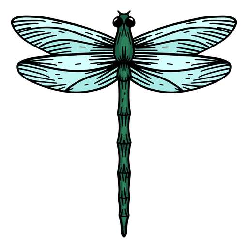 Download Hand drawn dragonfly - Transparent PNG & SVG vector file