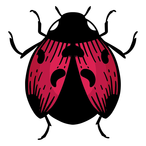 Symbol ladybug hand drawn PNG Design