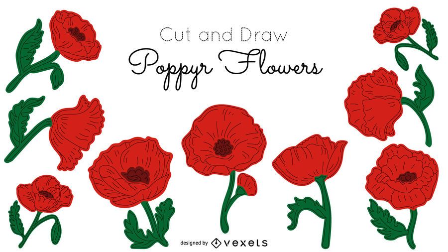 Poppy flowers illustration pack Poppy flowers illustration pack