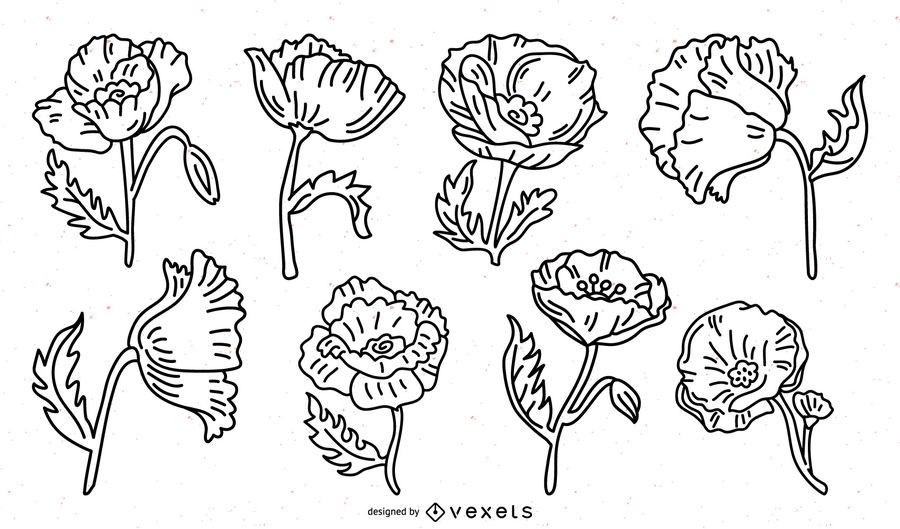 Pack de trazos de flores de amapola Pack de trazos de flores de amapola