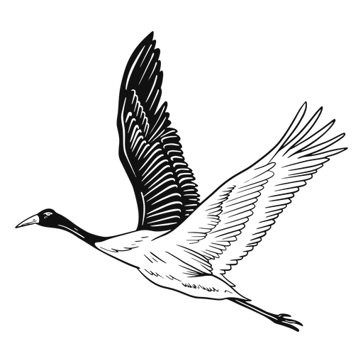 Black and white heron PNG Design