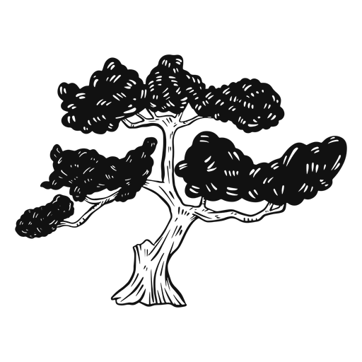 Bonsai tree black and white PNG Design