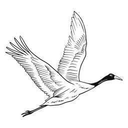 Garza voladora Diseño PNG