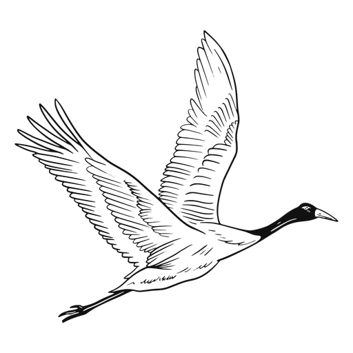 Flying heron PNG Design