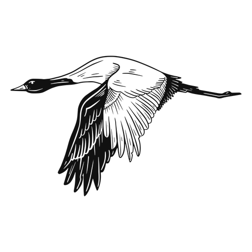 Garça-voadora em preto e branco Desenho PNG