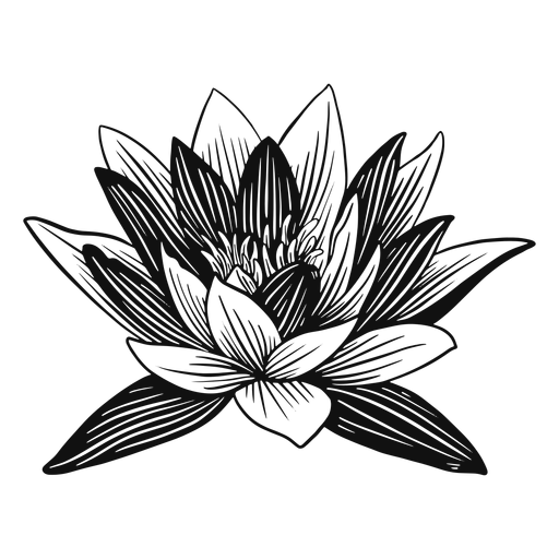 Lotus flower black and white PNG Design