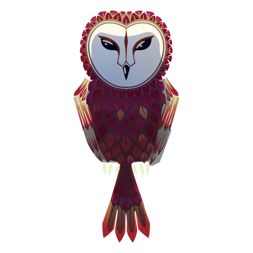 Barn owl illustration