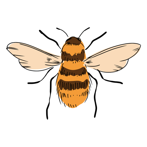 Ilustración de abeja Diseño PNG