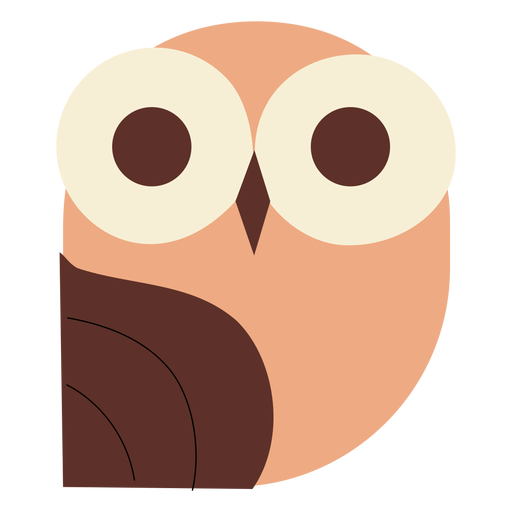Big eyes owl flat PNG Design