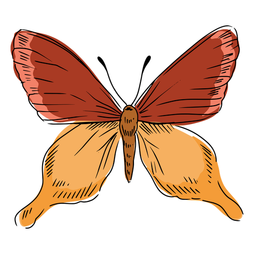 Dibujado a mano ilustración de mariposa Diseño PNG