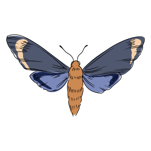 Fliegende Insektenillustration PNG-Design