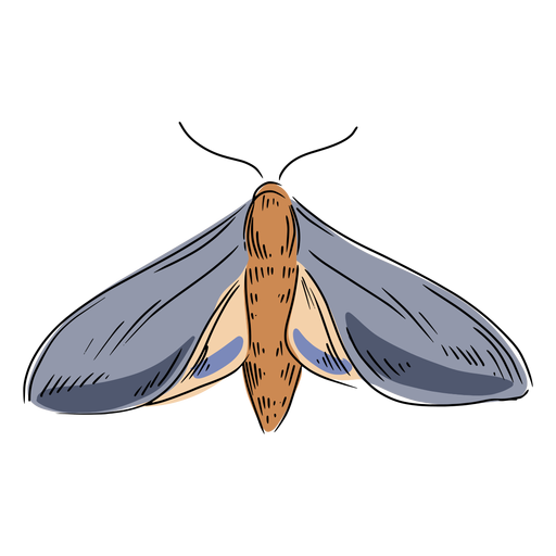 Ilustração de mariposa cinza Desenho PNG