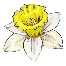 Narzisse weiße Blume PNG-Design