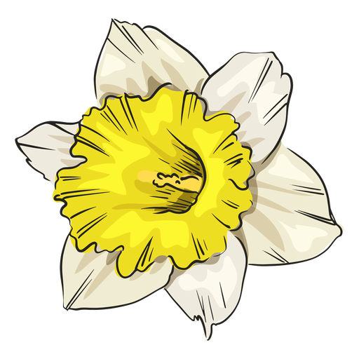 Diseños Png De Flor Blanca Para Camisetas And Merch 7382