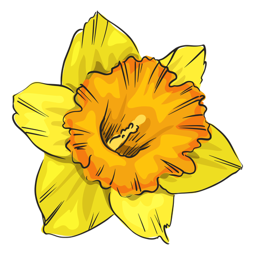 Free 52 Narcissus Flower Svg SVG PNG EPS DXF File