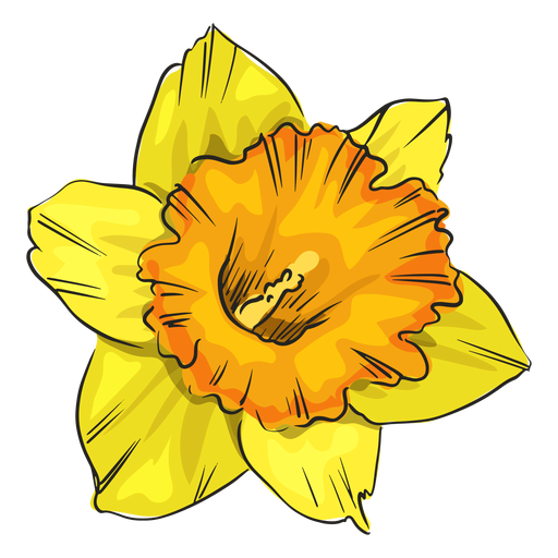 Narzisse gelbe Blume PNG-Design