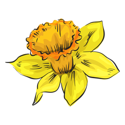 Narcissus Yellow Flower Side PNG & SVG Design For T-Shirts