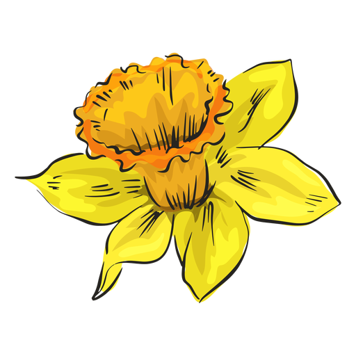 Narzissen gelbe Blumenseite PNG-Design