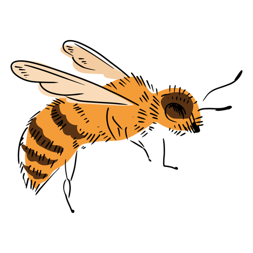 Ilustración de abeja lateral Diseño PNG