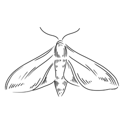 Graue Mottenhand gezeichnet PNG-Design
